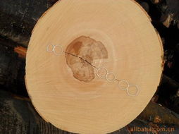 東莞市歐博源木業原木產品列表與木材種類介紹